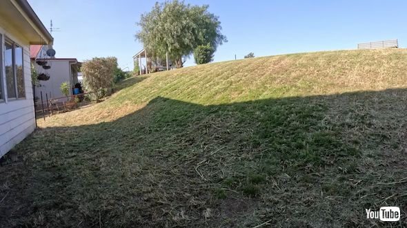 ひざまでの草を刈る