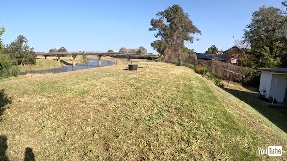 ひざまでの草を刈る