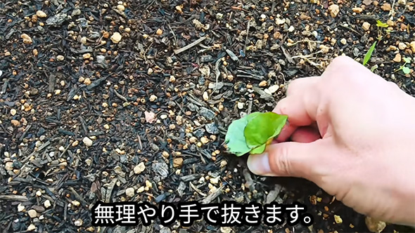 無理やり手で