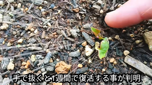 手で抜くと