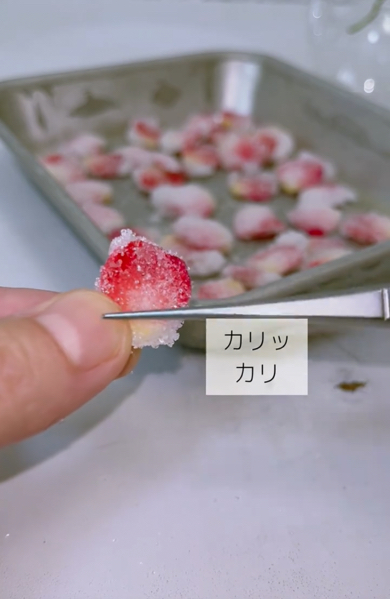 カリカリに乾燥した花弁