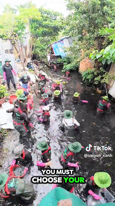 川はキレイに大変身