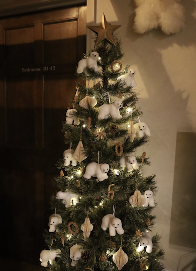 くまだらけツリー