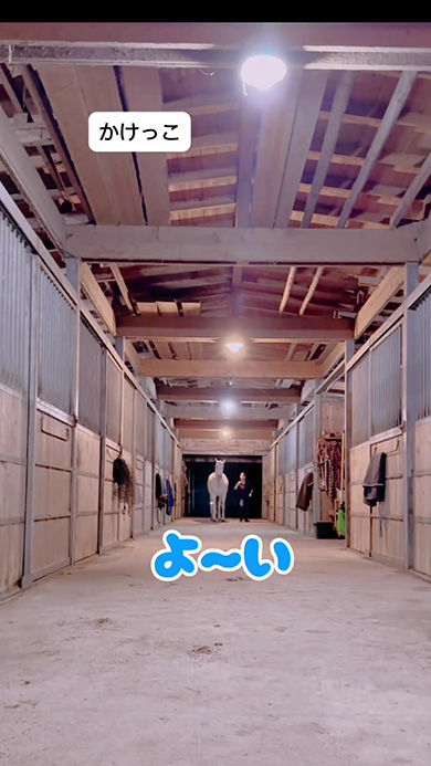 大好きなママとかけっこをする馬