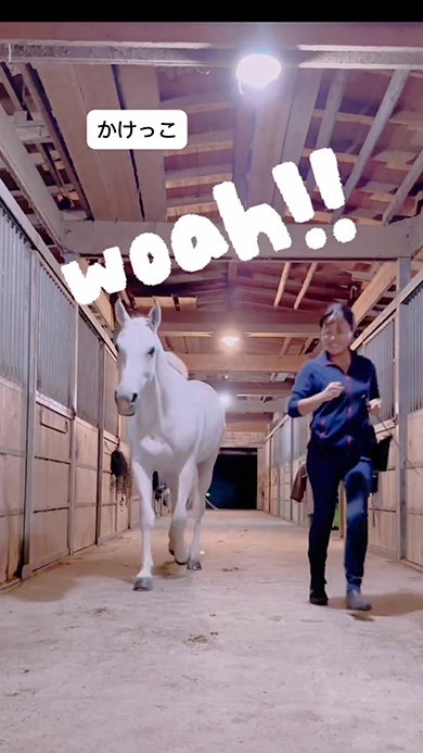 走りながら顔を高く上げる馬