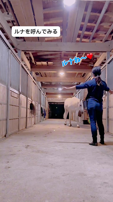 ルナを呼んでみる