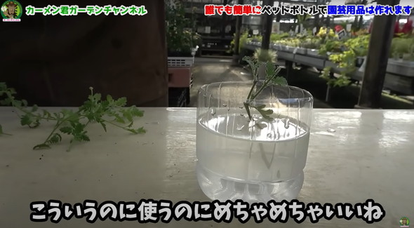 ペットボトルの超活用法