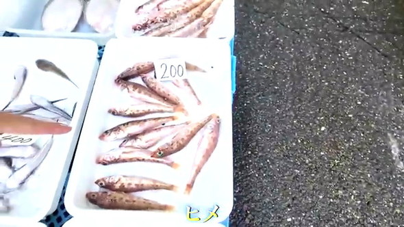 5円の魚