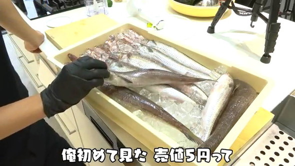 5円の魚