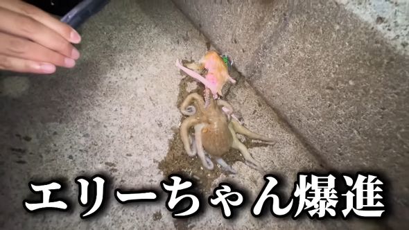 100均人形をエサにして釣り上げた