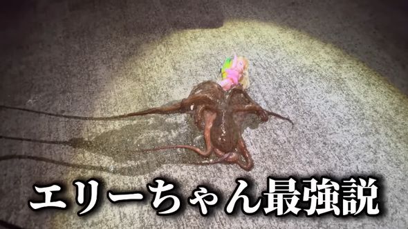 100均人形をエサにして釣り上げたタコ