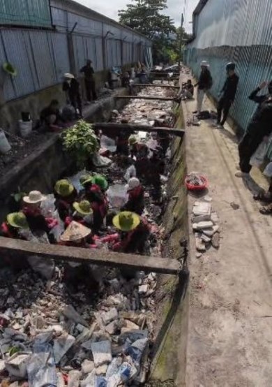 川を清掃する前