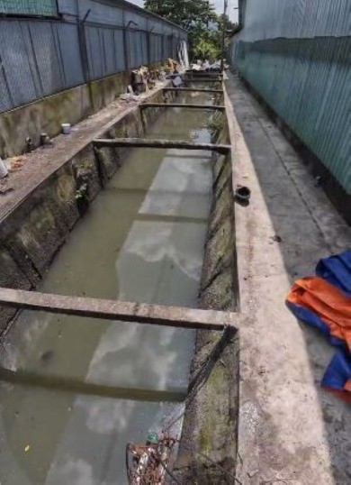 すっかり綺麗にゴミが取り除かれた川