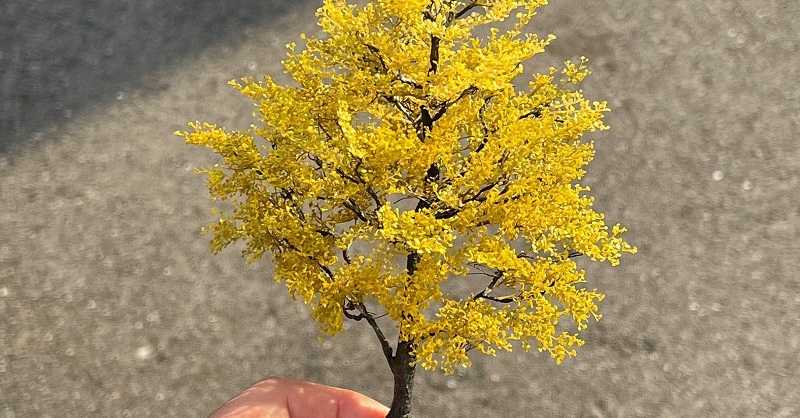 イチョウの木 樹木シリーズ54 イチョウ | あきた森づくり活動サポートセンター