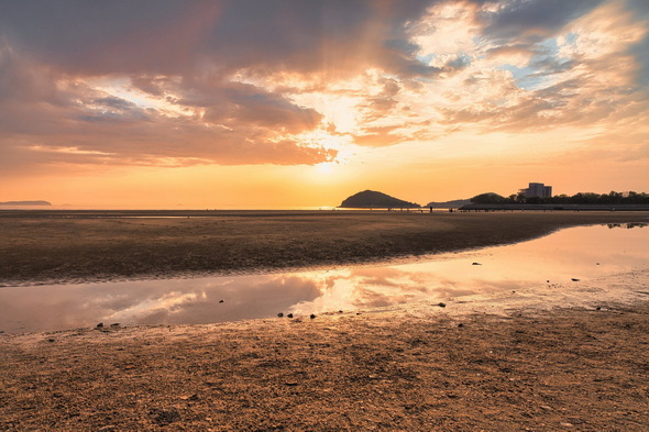 海辺でジャンプする女性