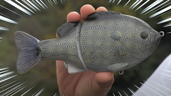 魚に錯覚は通用するのか検証