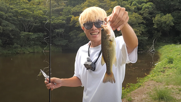 魚に錯覚は通用するのか検証