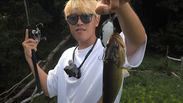 魚に錯覚は通用するのか検証