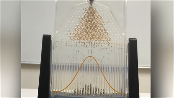 二項分布が正規分布になるゴルトンボード