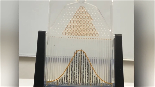 二項分布が正規分布になるゴルトンボード
