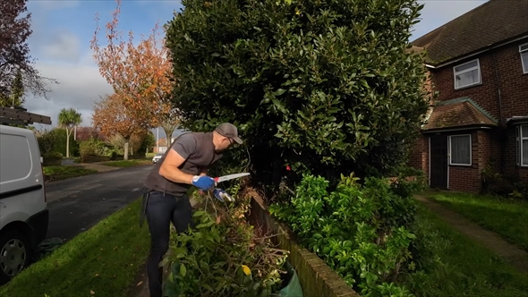 木が道路に飛び出した警告を受けた家の庭を手入れ