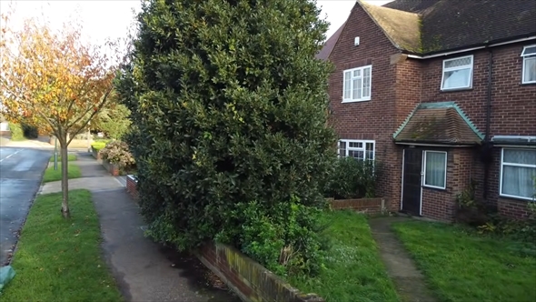 木が道路に飛び出した警告を受けた家の庭を手入れ