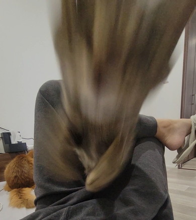 足の間から飛び出るキジトラ柄の猫ちゃん