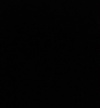 キジトラ柄の猫ちゃんに飛びかかられて暗転