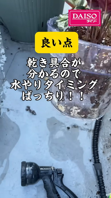 ダイソーの透明植木鉢