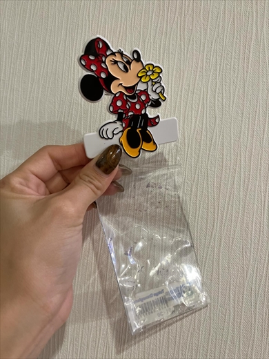 懐かしいディズニーのパスポートケース、当時の値段に驚き