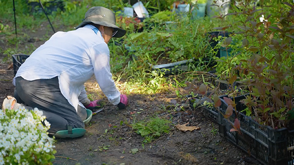 60代母の休日モーニングルーティン