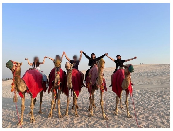 カタールではラクダに