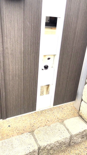 扉と柴犬