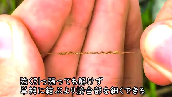 カラムシの繊維同士をつなぎ合わせてできた1本の繊維