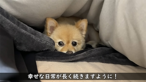 幸せな日常が長く