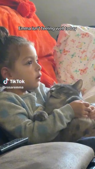 娘に寄り添う猫