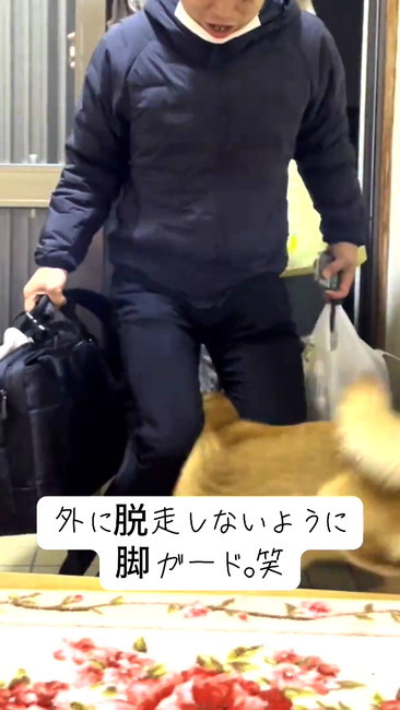 再会ごんちゃん