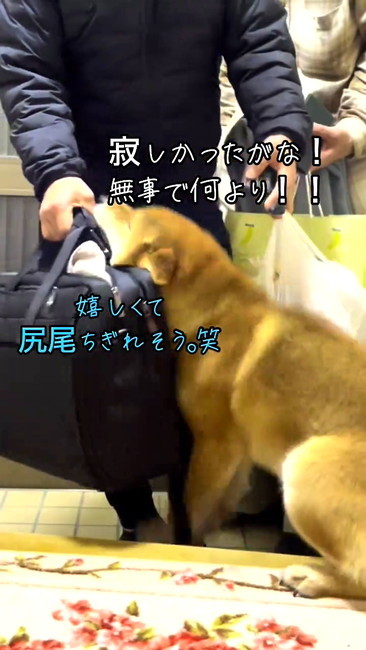 再会ごんちゃん