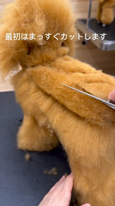 トリマー ツイストパン カット 犬 トリミング カーブシザー 手編みのセーター