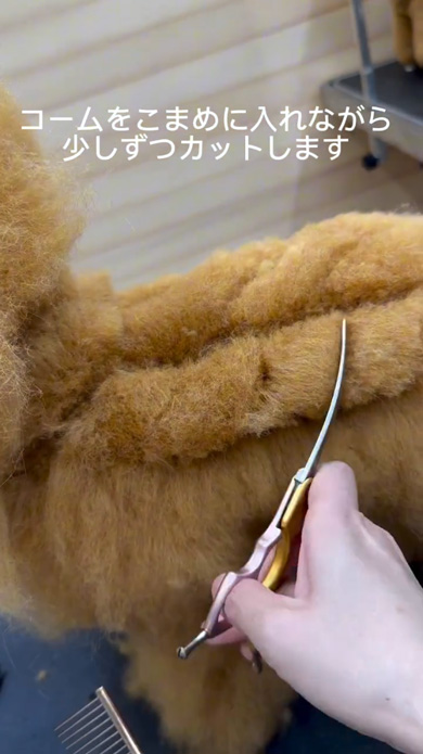 トリマー ツイストパン カット 犬 トリミング カーブシザー 手編みのセーター