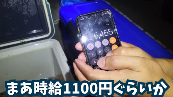 捕獲 外来生物 業者 買取 査定 金額 ガサガサ 外来種 キッチンカー