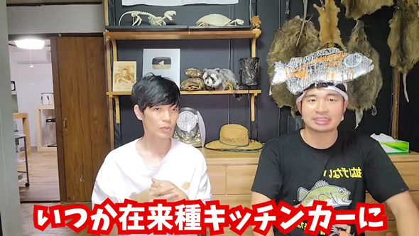 捕獲 外来生物 業者 買取 査定 金額 ガサガサ 外来種 キッチンカー