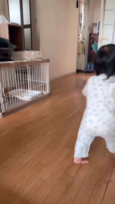 1歳 娘 おむつ 持ってきて お願い 持ってきてくれた 反応 賢い 赤ちゃん