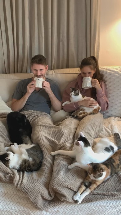 9匹の猫たちとのムービーナイト