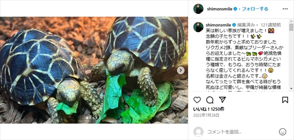 みちょぱの夫・大倉士門が飼っているリクガメ