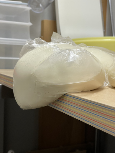 うどん生地の袋