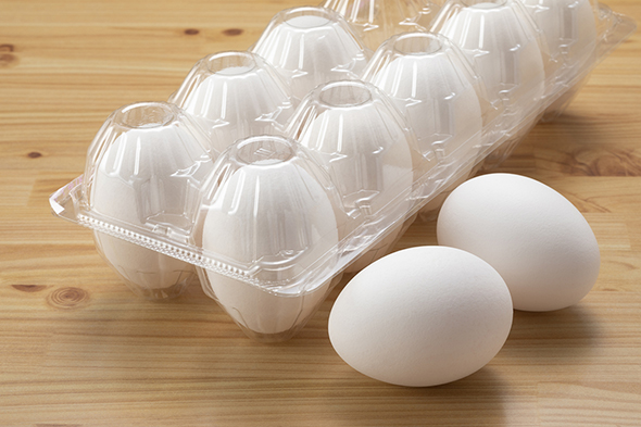 業務用加工卵