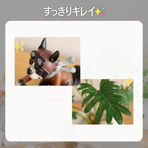 ホコリが取れた画像