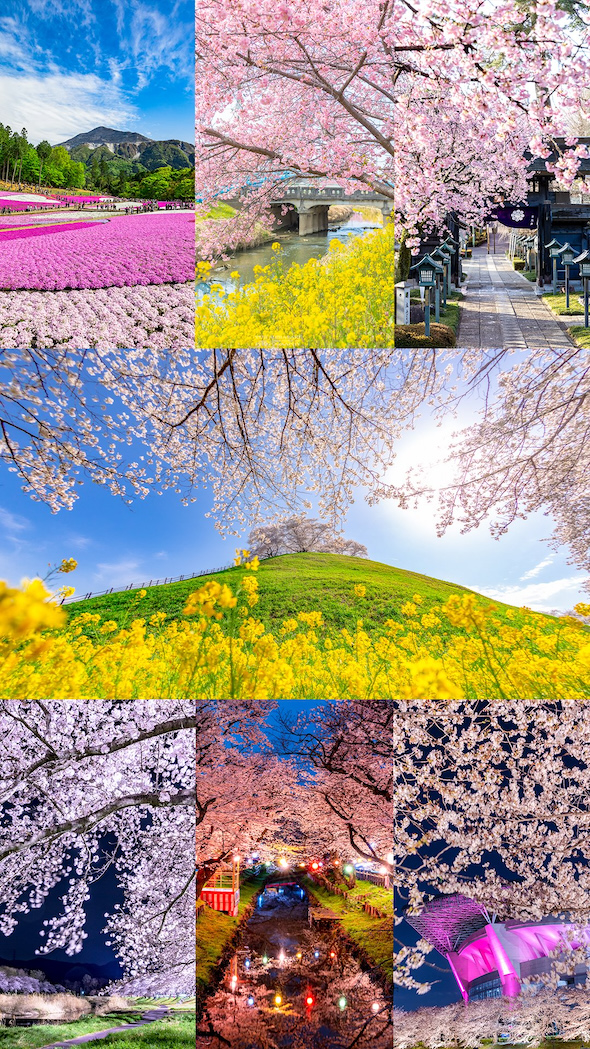 春の埼玉