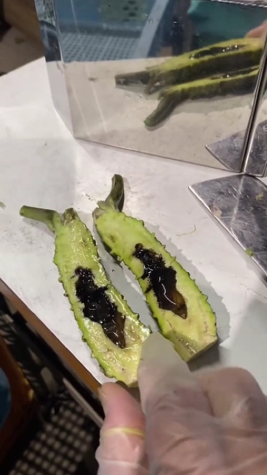 わさびの内部障害